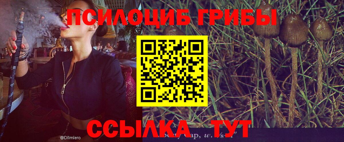 Галлюциногенные грибы Psilocybine cubensis Выкса