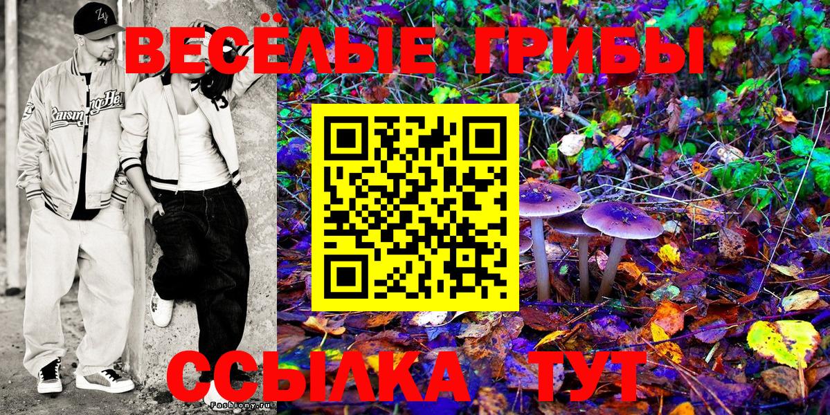 Выкса  Псилоцибиновые грибы ЛСД  Вход с VPN  Галлюциногенные грибы Psilocybine cubensis 